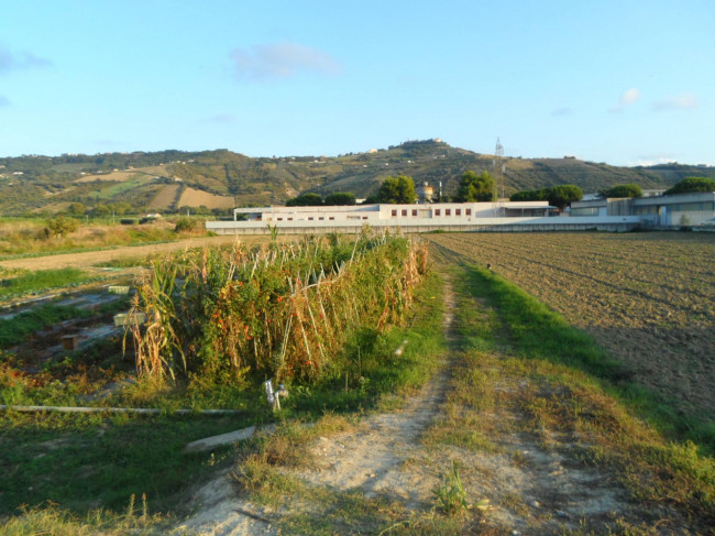 Terreno edificabile in vendita a Monteprandone