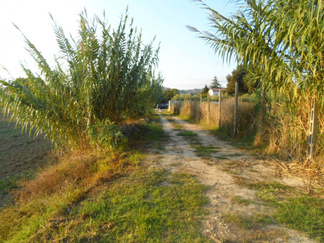 Terreno edificabile in vendita a Monteprandone