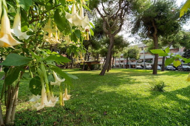 Appartamento in vendita a San Benedetto del Tronto