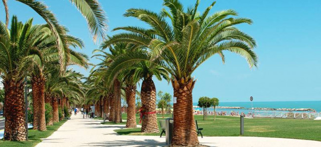Hotel in vendita a Grottammare
