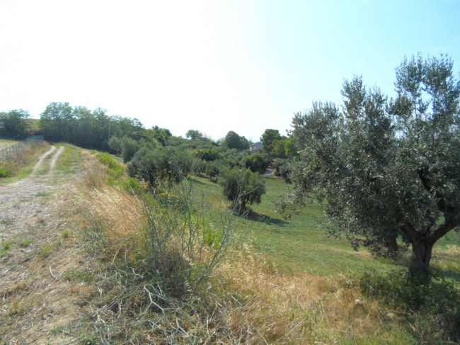 Terreno edificabile in vendita a Tortoreto
