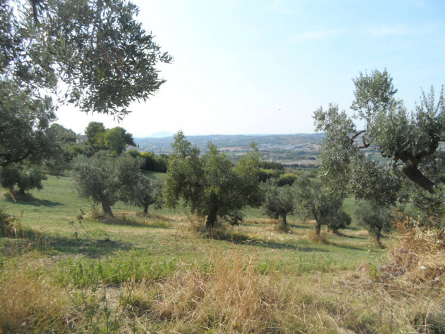 Terreno edificabile in vendita a Tortoreto