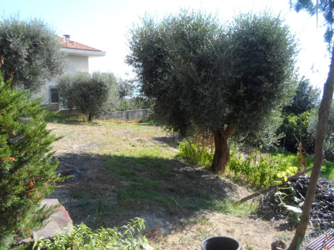Terreno edificabile in vendita a Grottammare