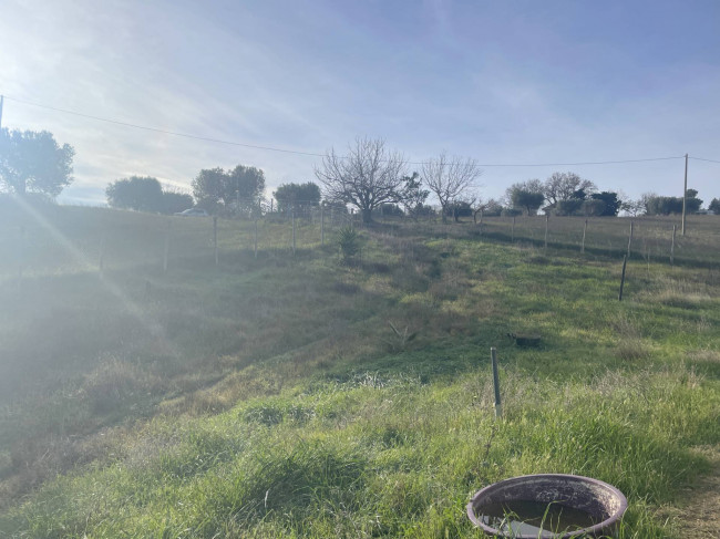 Casa singola in vendita a Monteprandone
