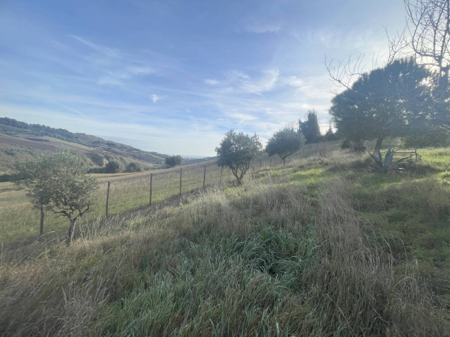 Casa singola in vendita a Monteprandone