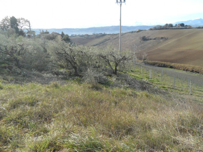 Casa singola in vendita a Monteprandone