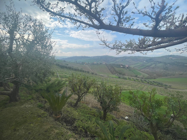 Casa singola in vendita a Monsampolo del Tronto