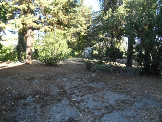 Casa indipendente in vendita a Monsampolo del Tronto