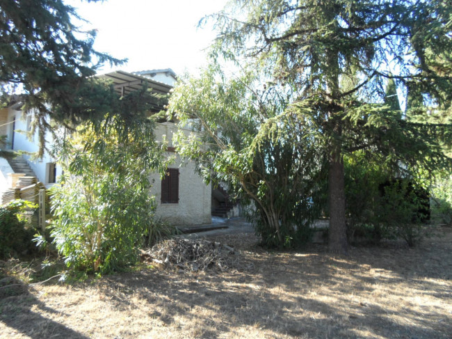 Casa indipendente in vendita a Monsampolo del Tronto
