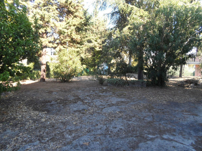 Casa indipendente in vendita a Monsampolo del Tronto