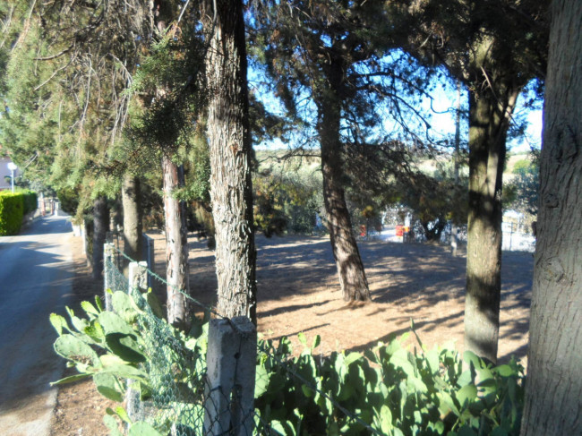 Casa indipendente in vendita a Monsampolo del Tronto