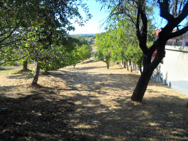 Casa indipendente in vendita a Monsampolo del Tronto