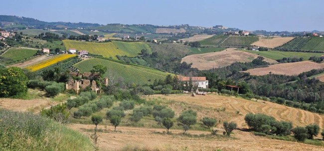 Casolare in vendita a Castignano