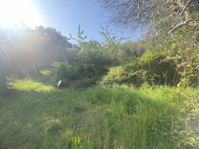 Casolare in vendita a San Benedetto del Tronto
