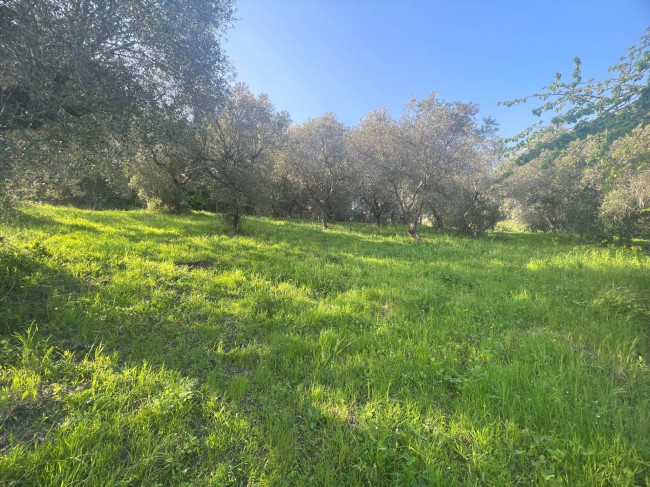 Casolare in vendita a San Benedetto del Tronto