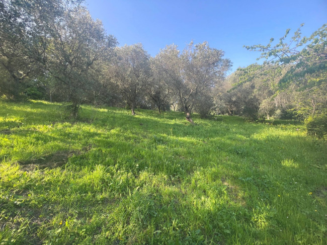 Casolare in vendita a San Benedetto del Tronto