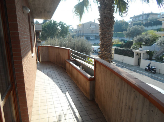 Appartamento in affitto a San Benedetto del Tronto