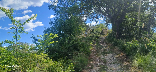 Casolare in vendita a Massignano