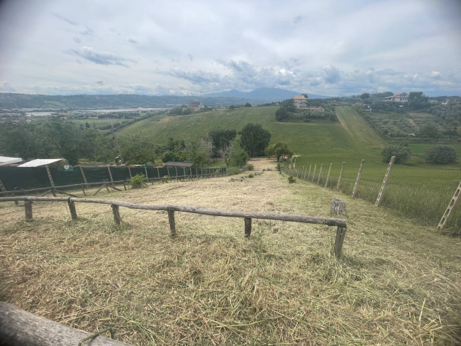 Terreno Agricolo in vendita a Monteprandone