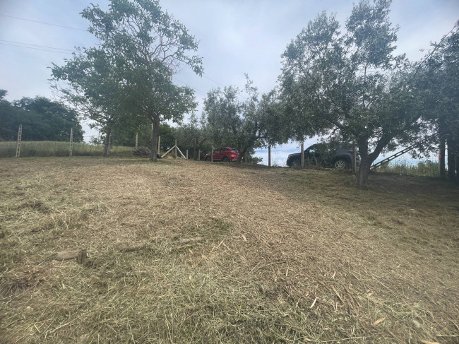 Terreno Agricolo in vendita a Monteprandone