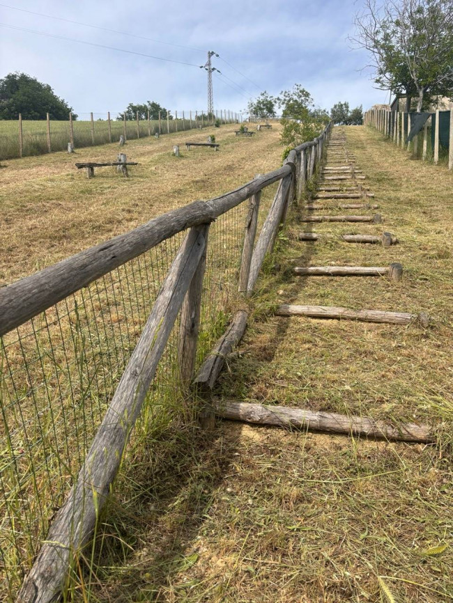 Terreno Agricolo in vendita a Monteprandone