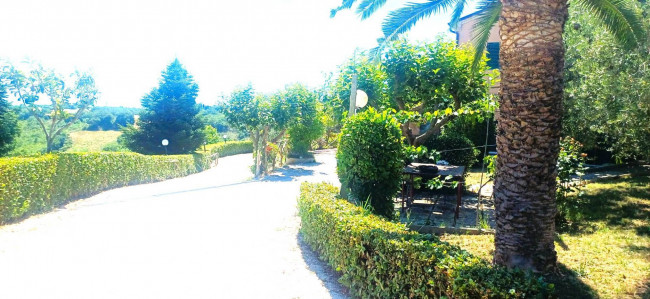 Attività commerciale in vendita a Cupra Marittima