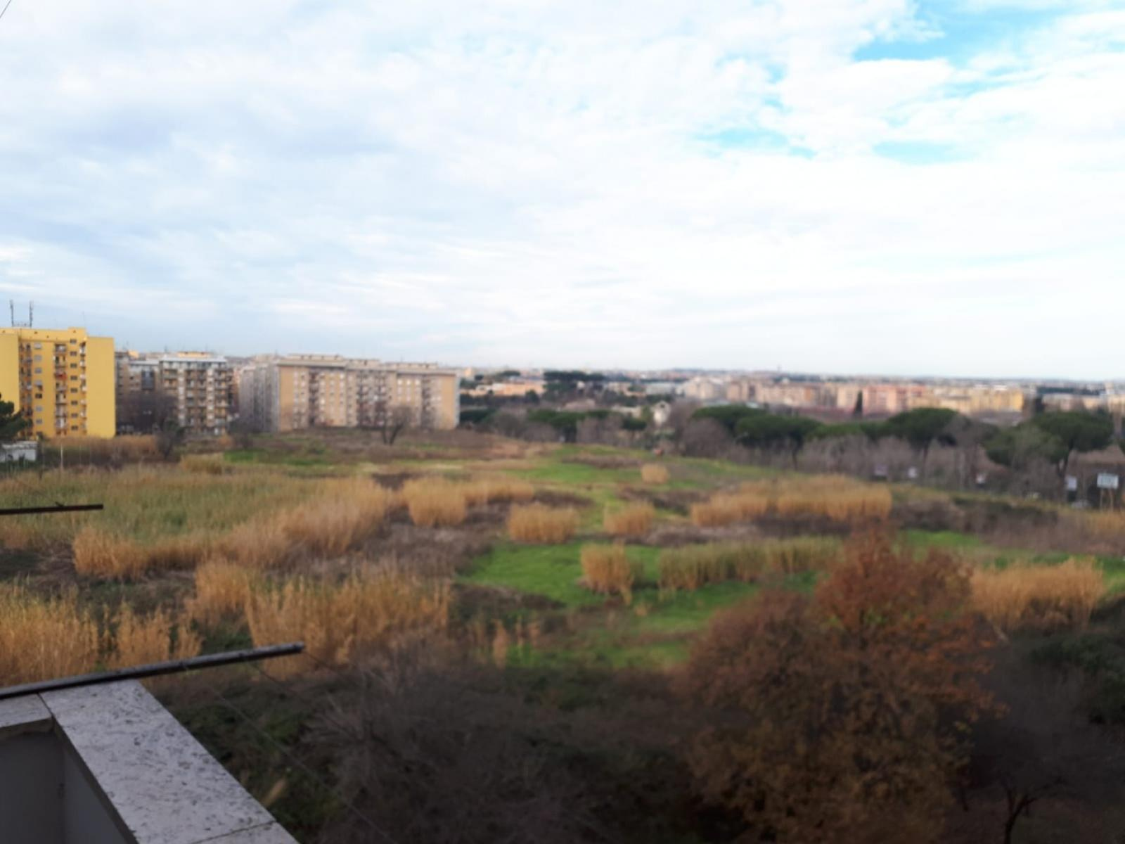 Appartamento ROMA vendita  Centocelle  FRIMM Progeacasa