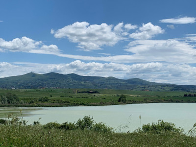 Rustico in vendita a Castellina Marittima (PI)