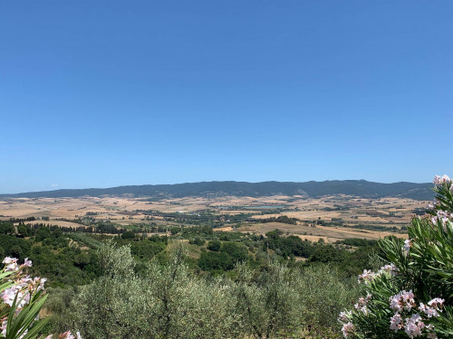 Rustico in vendita a Gabbro, Rosignano Marittimo (LI)