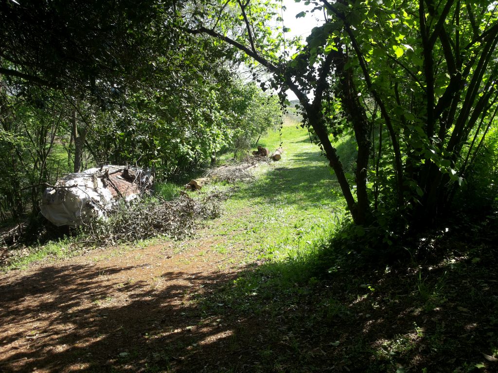 Villa Unifamiliare - Indipendente SANTA MARIA A MONTE affitto  Calvana  Affitta Presto Agenzia Pontedera