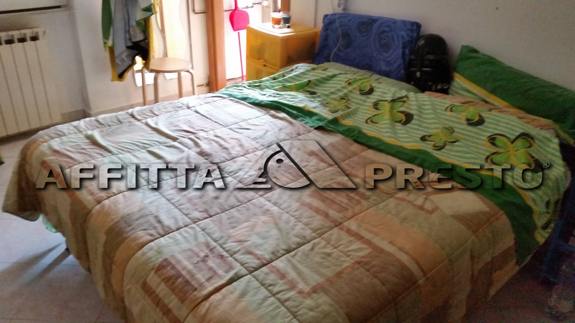 Villa Unifamiliare - Indipendente PISA affitto  Porta a Lucca  Affitta Presto Agenzia Pisa