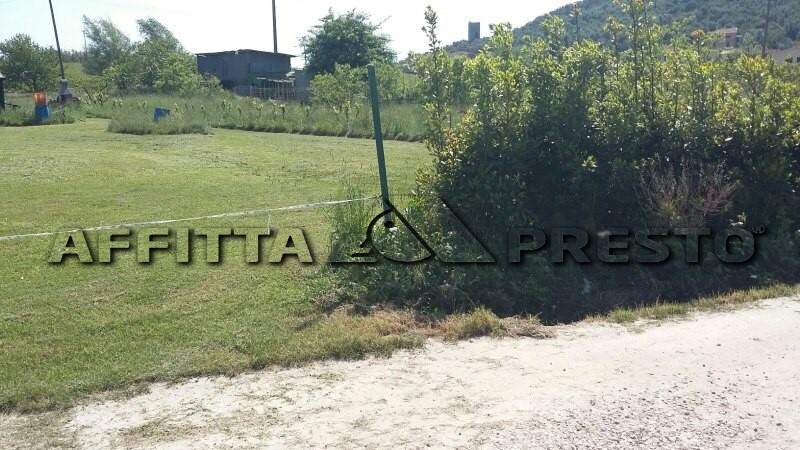  pisa affitto quart: piagge affitta-presto-agenzia-pisa