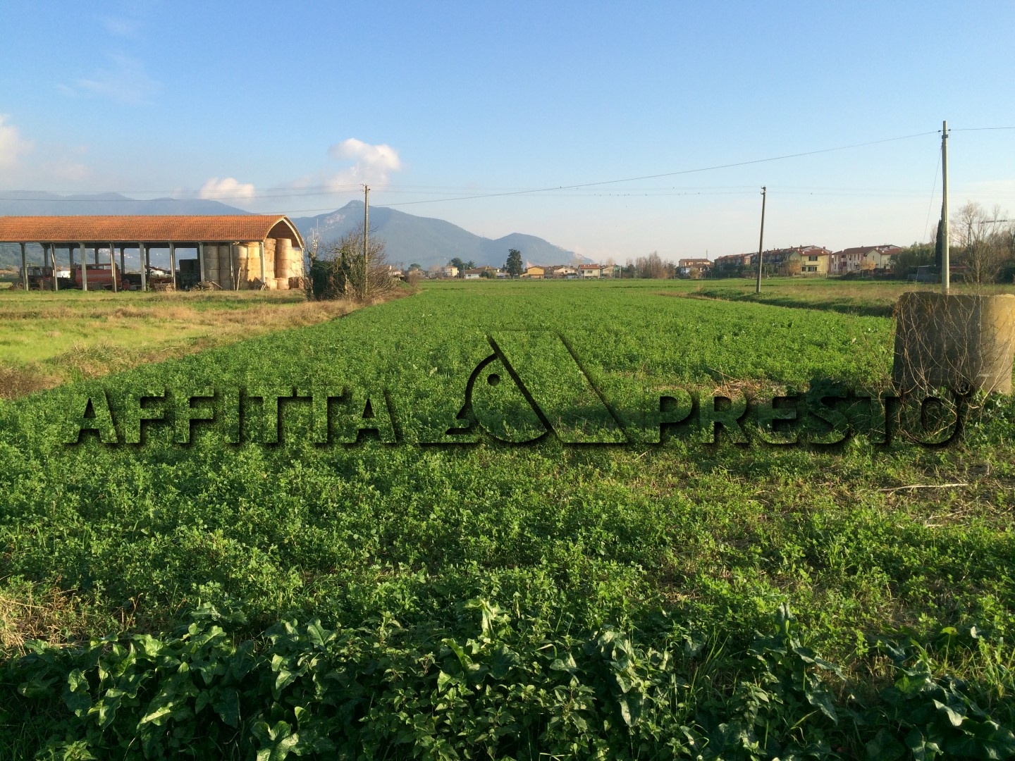  pisa affitto quart: piagge affitta-presto-agenzia-pisa