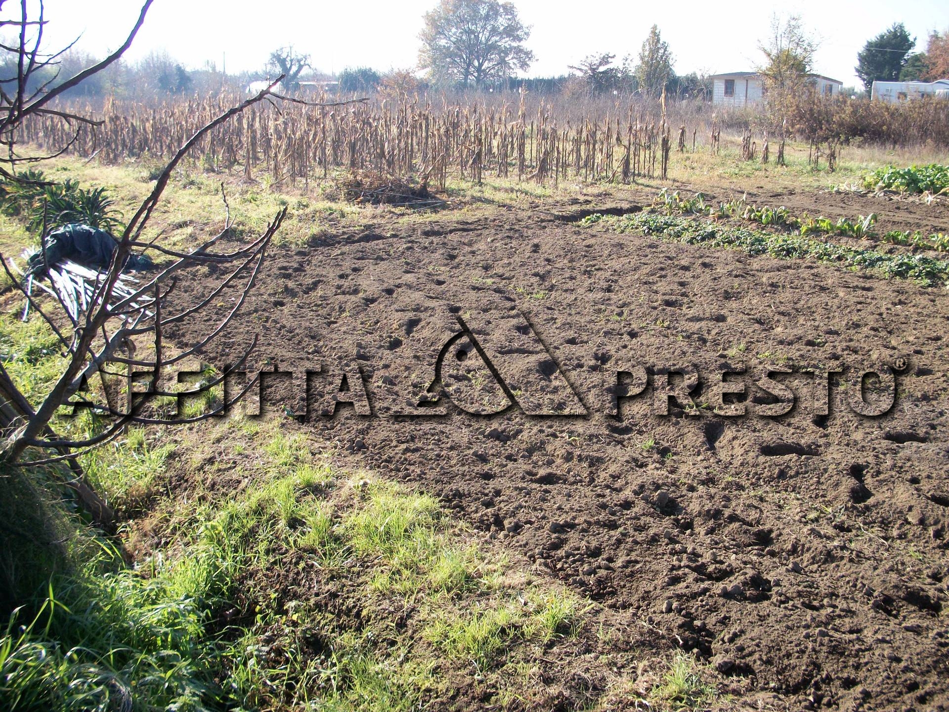  pisa affitto quart: pisanova affitta-presto-agenzia-pisa