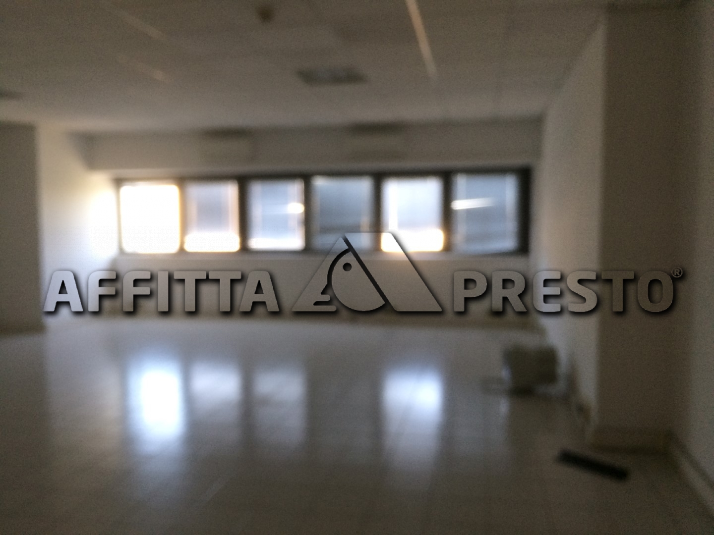  pisa affitto quart: ospedaletto affitta-presto-agenzia-pisa