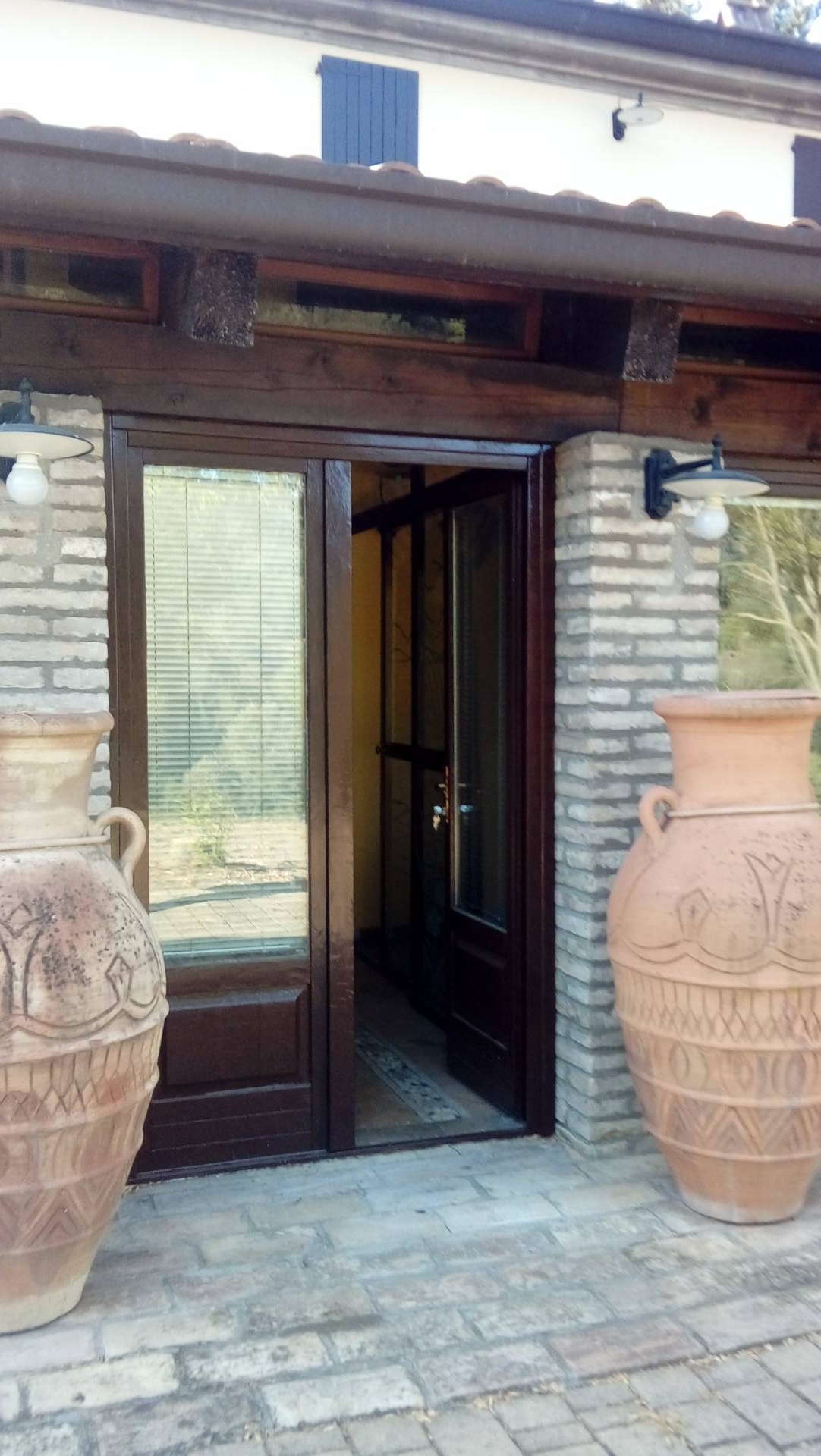 Attività commerciale in affitto a Cesena (FC)
