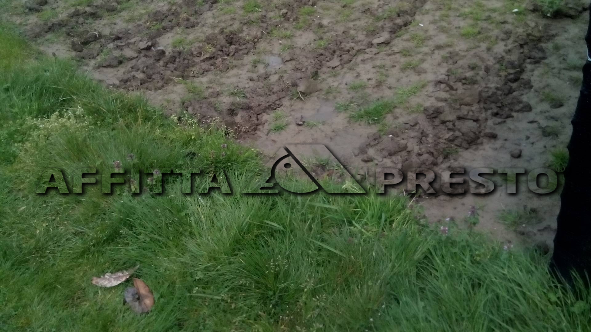  pisa affitto quart: san marco affitta-presto-agenzia-pisa