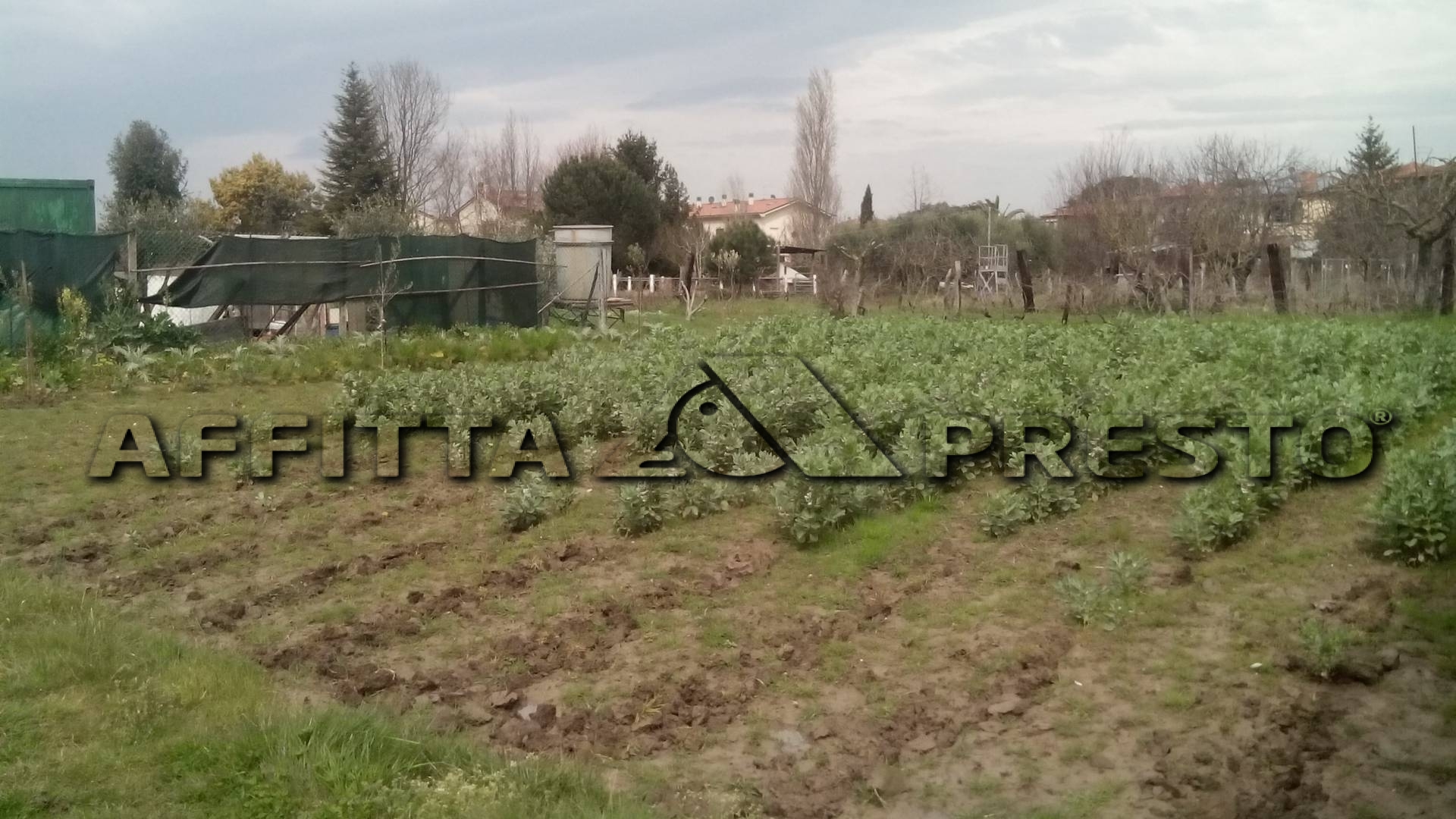 Terreno PISA affitto  San Marco  Affitta Presto Agenzia Pisa