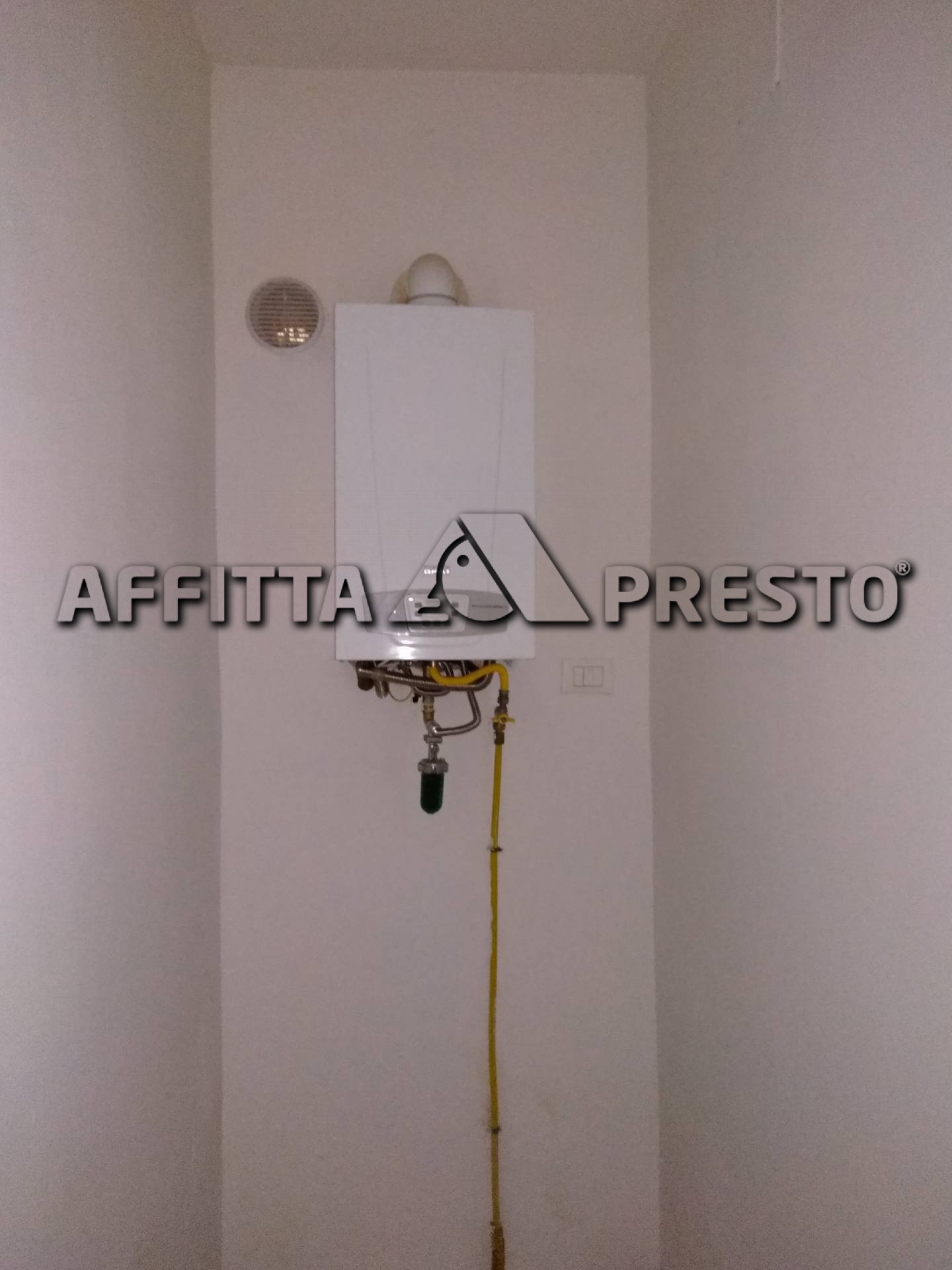 Appartamento PISA affitto  Sant