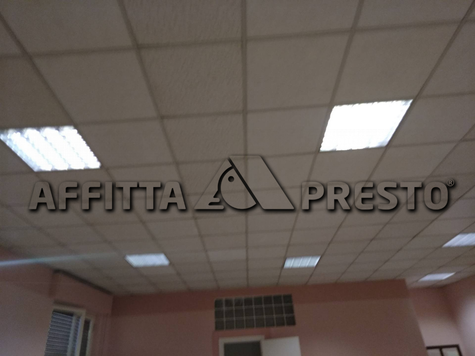 Ufficio - Loc.Com. PISA affitto  Porta Fiorentina  Affitta Presto Agenzia Pisa