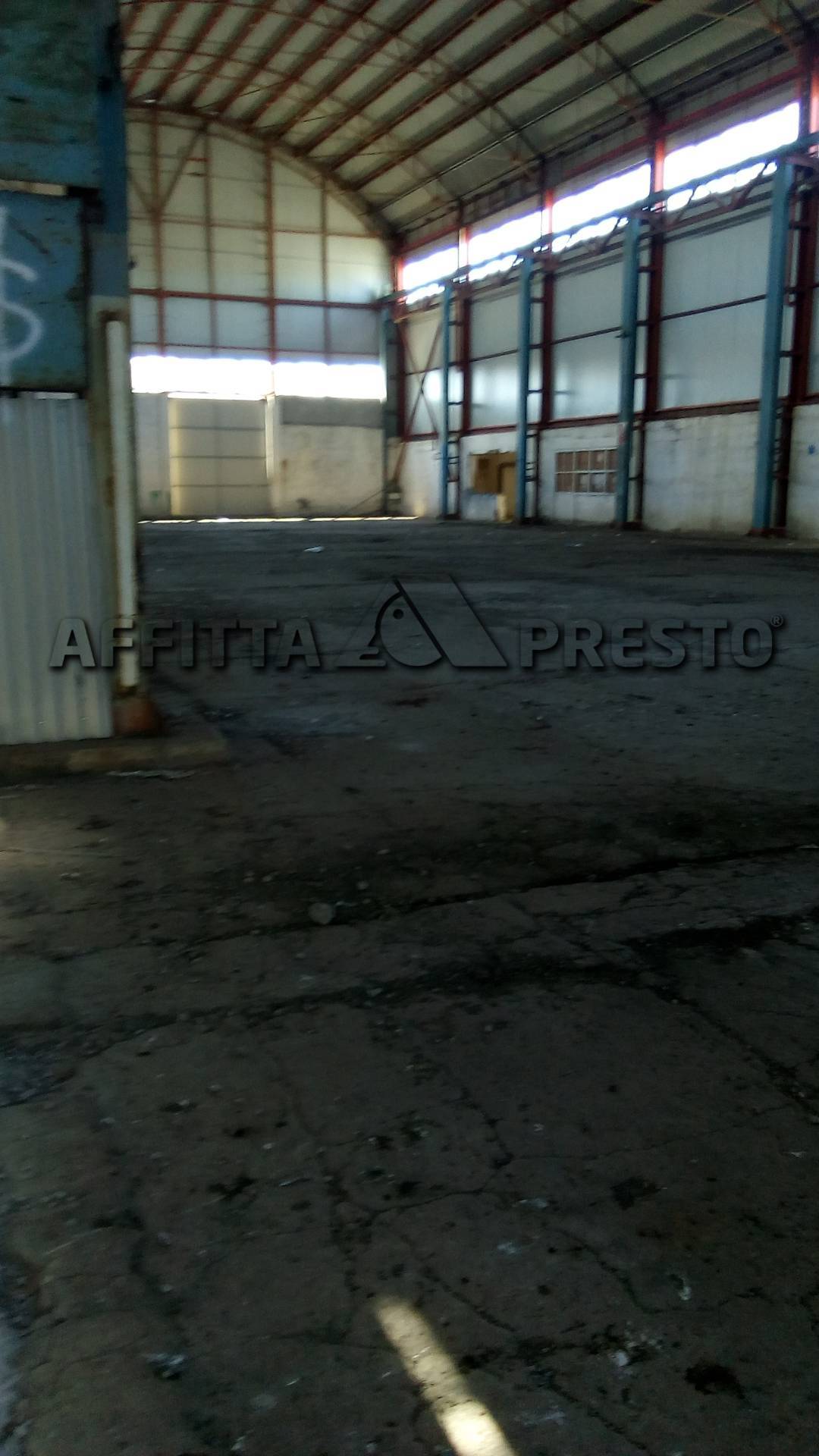  livorno affitto quart: coteto affitta-presto-agenzia-livorno