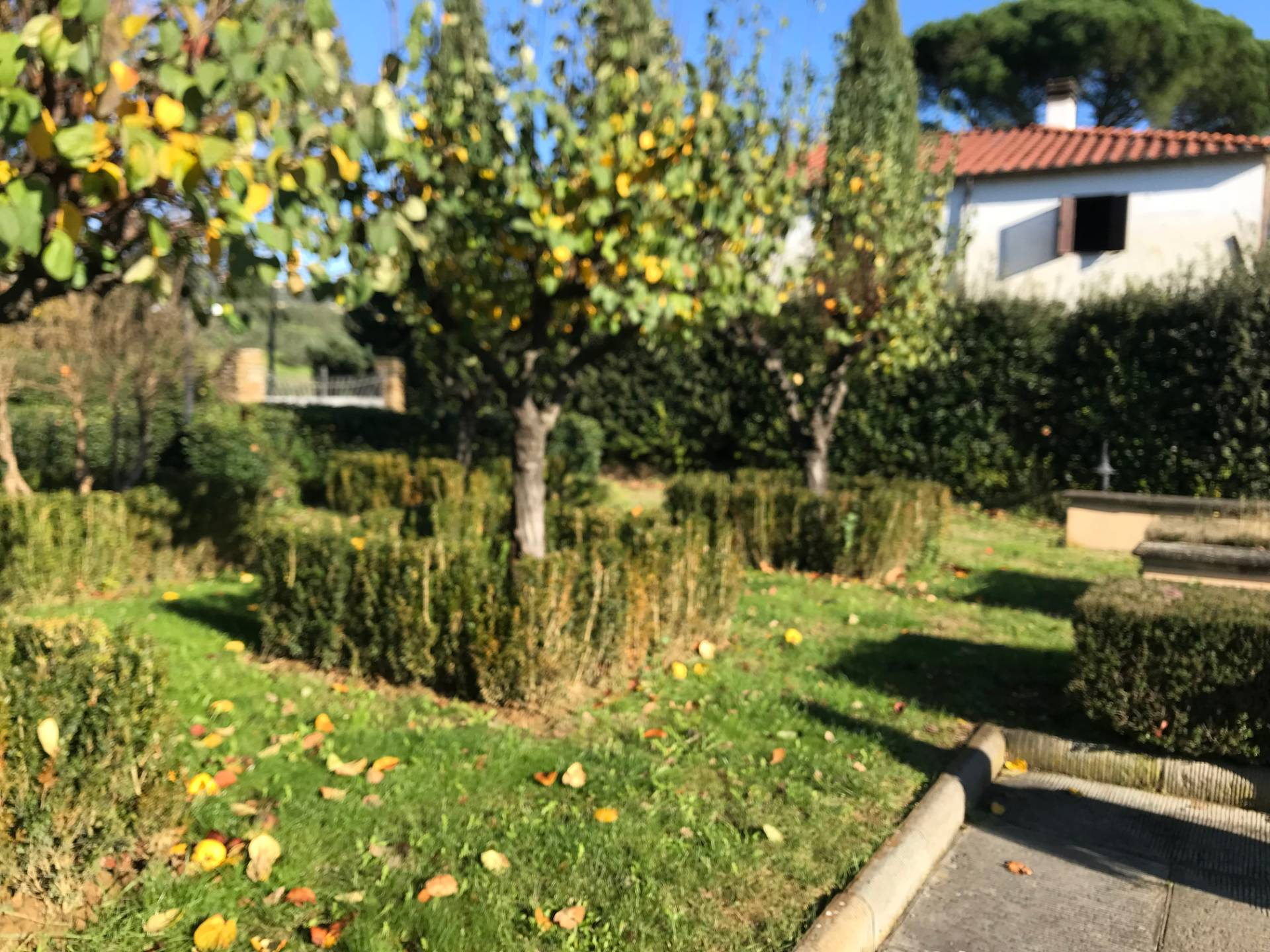 Villa LAMPORECCHIO affitto    Affitta Presto Agenzia Empoli