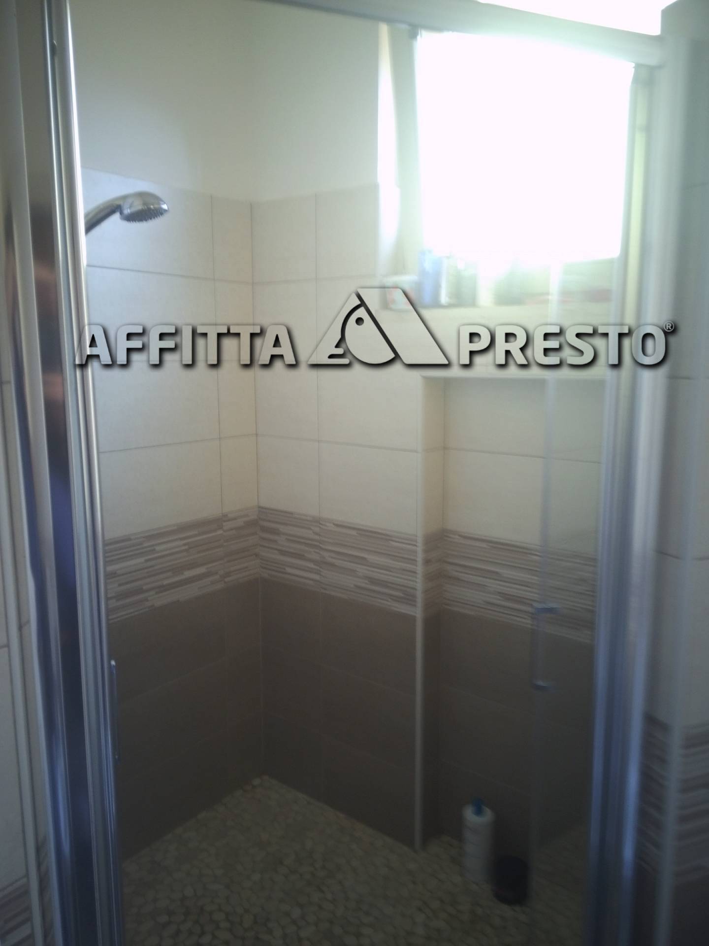 Appartamento CESENA affitto  CENTRO STORICO  Affitta Presto Agenzia Cesena1