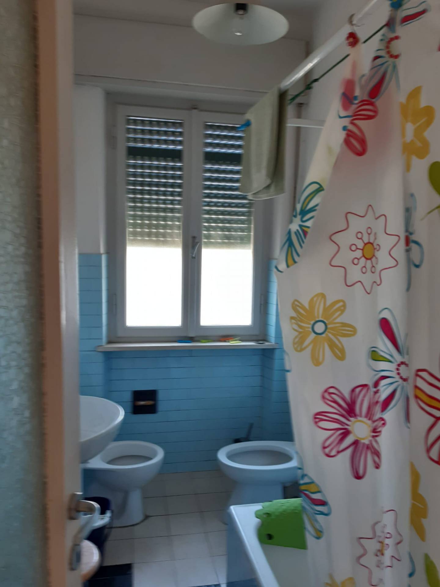 Villa Unifamiliare - Indipendente PISA affitto  Porta a Lucca  Affitta Presto Agenzia Pisa