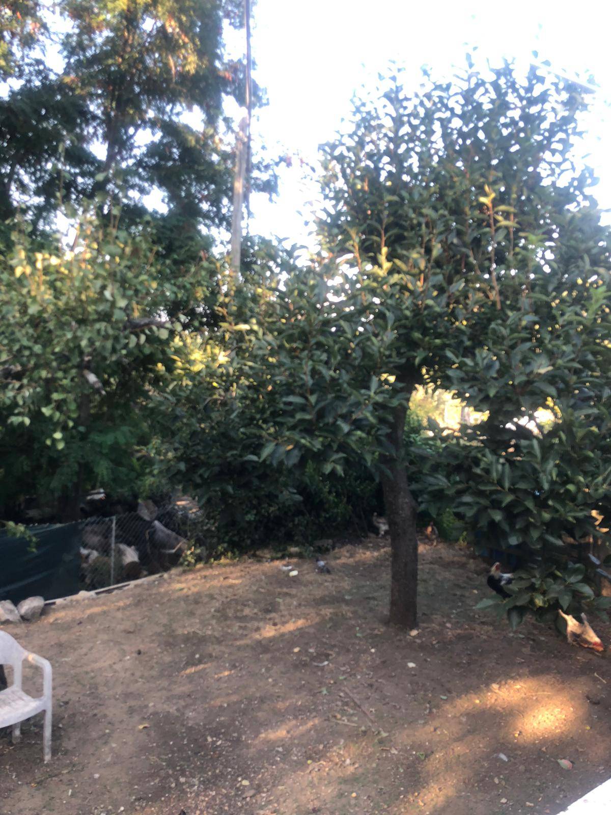 Casa semi-indipendente in vendita a Marciana Marina (LI)