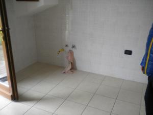 Villetta a schiera in affitto a Forlì