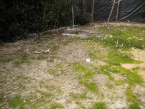 Villetta a schiera in affitto a Forlì