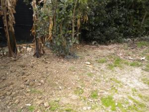 Villetta a schiera in affitto a Forlì