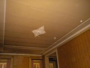 Attività/licenza in affitto a Forlì