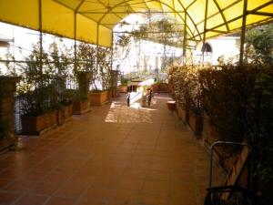 Attività/licenza in affitto a Forlì